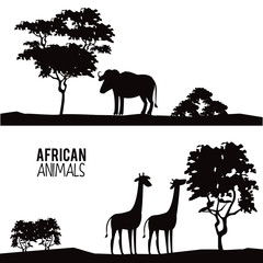 Buffalo and giraffes african animals silhouetttes at savanna vector illustration graphic design