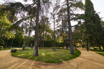 Gardens in Reales Alcazares in Seville - residence developed from a former Moorish Palace in Andalusia, Spain