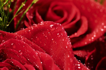 Detail of Red Roses Bouquet