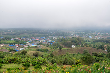 Flower Meadow on the Mountain with haze on the background and countryside view, Traveling in Thailand