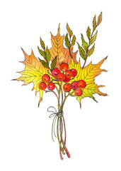 Fototapeta premium Watercolor drawing, autumn bouquet with a red berries and dry leaves. Hand painted vector illustration.