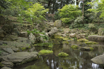 Fototapeta premium Flowers on stone covered with moss in the pond of tea house in rikugien garden park in Bunkyo district, north of Tokyo.