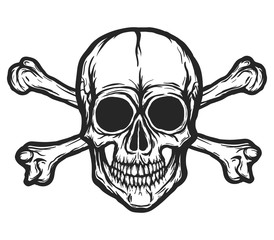 Human skull with bones vector silhouette isolated on white. Hand drawn black and white skull illustration. Tattoo or print design. Transparent background.