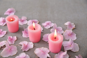 Obraz na płótnie Canvas Many Pink hydrangea petals with three candle on gray background