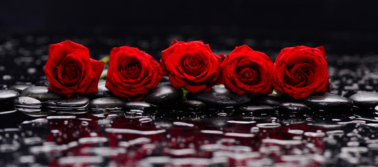 Still life with row of five red rose and wet stones
