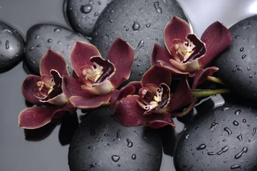 Möbelaufkleber Spa-Konzept –auf Orchideen und schwarzen Steinen liegend © Mee Ting