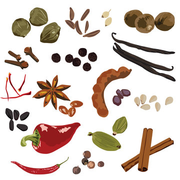A set of different spices on a white background.