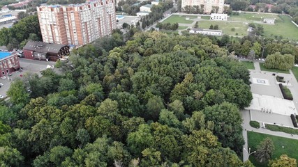 Obraz premium Evening park. Forest.