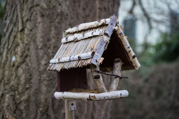 Birdhouse in winter at evening