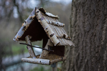 Birdhouse in winter at evening
