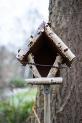 Birdhouse in winter at evening