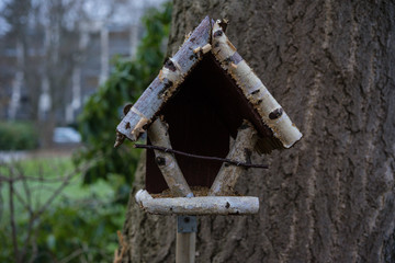Birdhouse in winter at evening