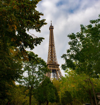 Eiffel Tower surrounded by autumnal trees