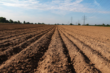 Freshly plowed field