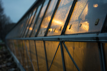 greenhouse at evening with lights on