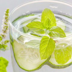 glass of water with pieces of cucumber and peppermint
