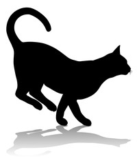 Silhouette Cat Pet Animal 