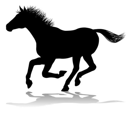 Horse Silhouette Animal