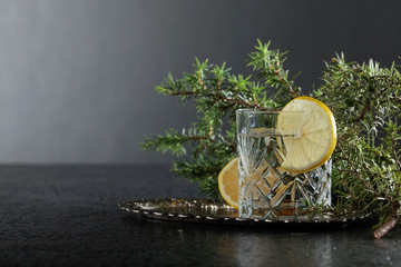 Fototapeta na wymiar Gin , tonic with slices of lemon and a sprig of juniper .
