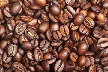 Coffee beans texture