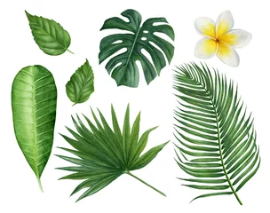 Fototapete Tropische Blätter Handgemalte Aquarell tropische Blätter: Monstera, Palmen, Plumeria, Hibiskus und Frangipani-Blume