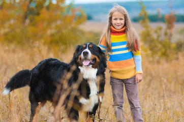 girl on walk with her four-legged friend on autumn fields Berner Sennenhund