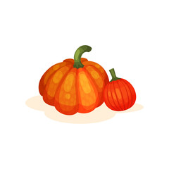 Obraz premium Two fresh ripe whole pumpkins vector Illustration on a white background