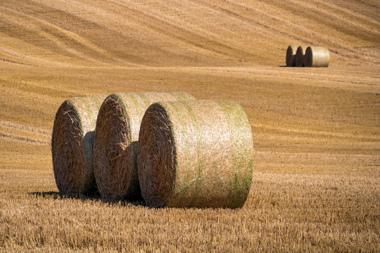 mown grain field with three large round hay bale