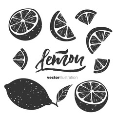 Lemon and slices on white background. Lemon set with hand lettering. Dry brush calligraphy. Vector illustration. - 216259600