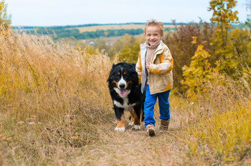 boy runs around with big dog on autumn hills of race Berner Sennenhund