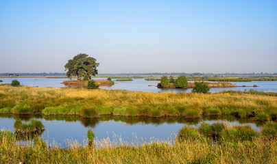 Obraz premium Feriengebiet Ostfriesland, zu sehen ein Ausgleichspolder und Vogelnaturschutzgebiet