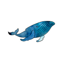 Colorful whale on a transparent background. © DropOfWax