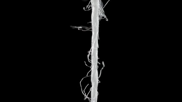 White Thread On Black Background Macro