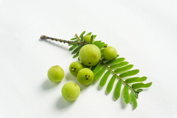 Makhampom on a white background is a medicinal herb used to treat sore throat
