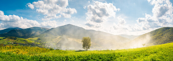 panorama of beautiful mountainous countryside. tree on the hill side in smoke from fire in the...