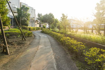 鳥山川緑道