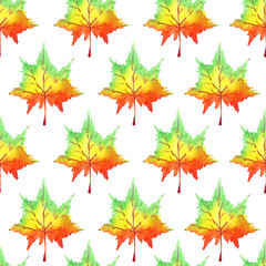 Colorful maple leaves, hand painted watercolor illustration, seamless pattern on white background