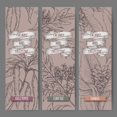 Three labels with chili pepper, curry tree and turmeric sketch.