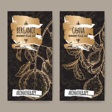 Two labels with Citrus bergamia aka bergamot and Psidium guajava aka guava branch sketch on black lace background.