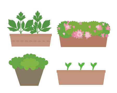 Set of flat design boxes and pots with colorful flowers and vegetables, isolated on white background