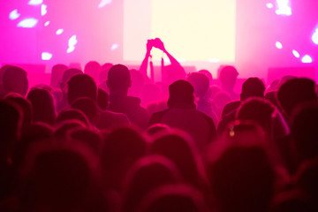 Crowd at concert