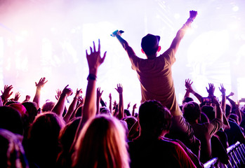Crowd of people at concert