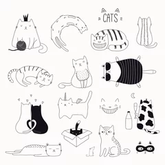 Wall murals Illustrations Set of cute funny black and white doodles of different cats. Isolated objects. Hand drawn vector illustration. Line drawing. Design concept for poster, t-shirt, fashion print.