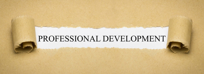Professional Development