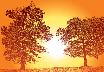 Naklejka na ściany i meble Sunny landscape with beautiful tree silhouette and bright light rays. Vector graphic illustration of a forest nature and sun.