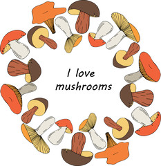 Vector hand drawn mushrooms in circle form with place for text in center illustration