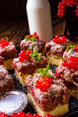 Gorgeous juicy chocolate cake with red currant