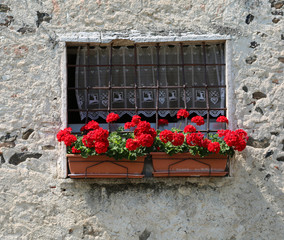 Fototapeta na wymiar two plastic pots of red geraniums on the balcony of a stone hous