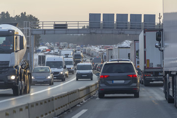 dense highway scenery