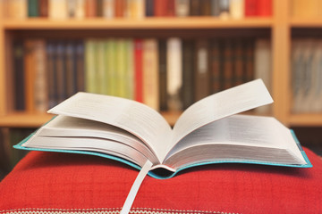 Bible. Open book. The book of life